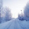 dsc02034 - 2